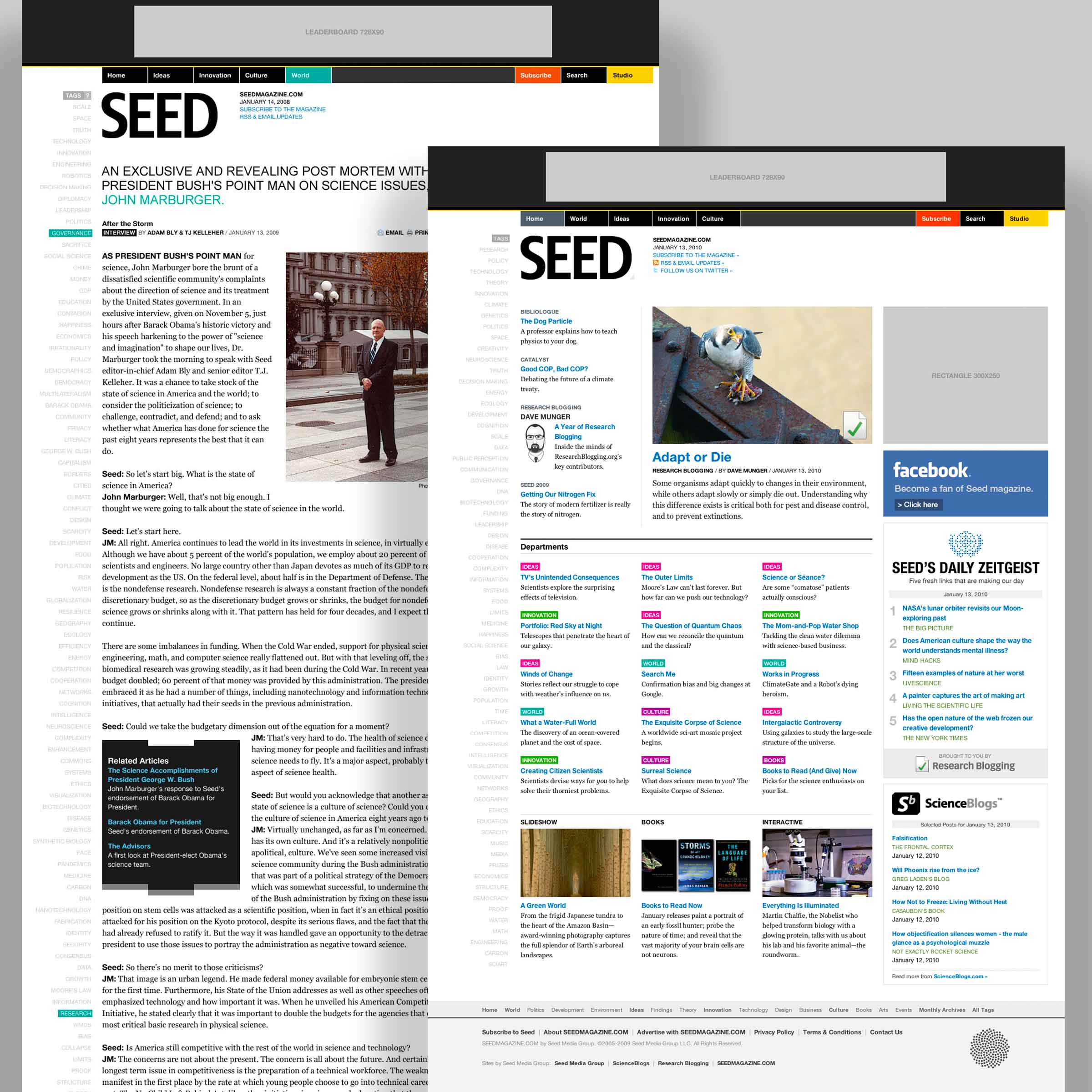 Seed web design comps